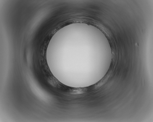 X0000111450381200907131046