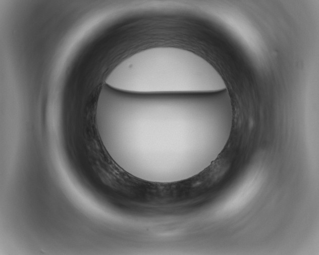 X0000111450383200907131046