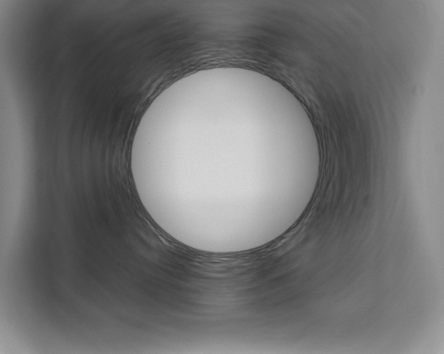 X0000111450384200907131046