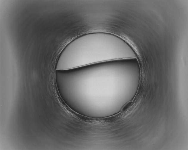 X0000111450385200907131045