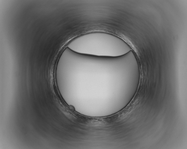 X0000111450386200907131045