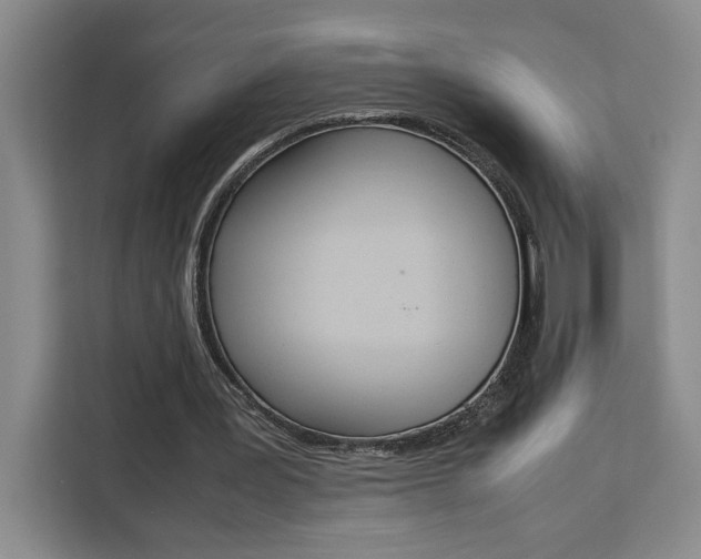 X0000111450387200907131045