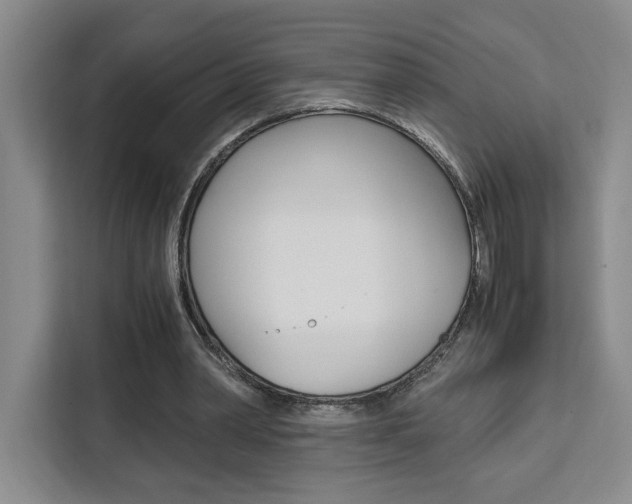 X0000111450390200907131045