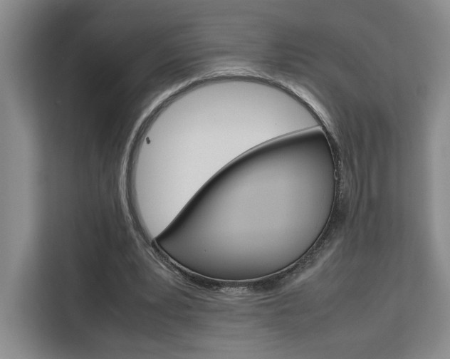 X0000111450391200907131045
