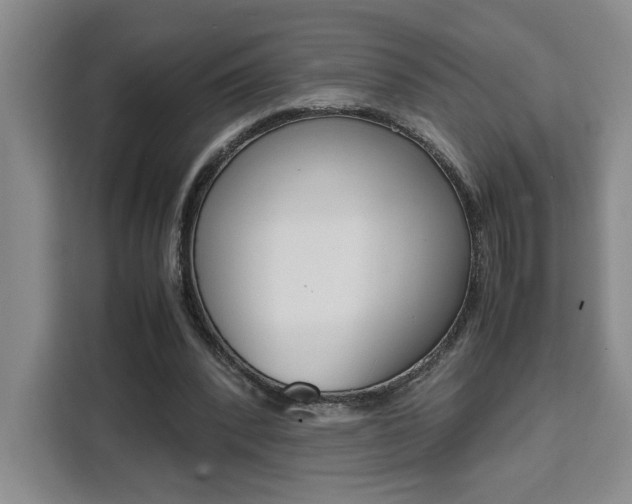 X0000111450392200907131045