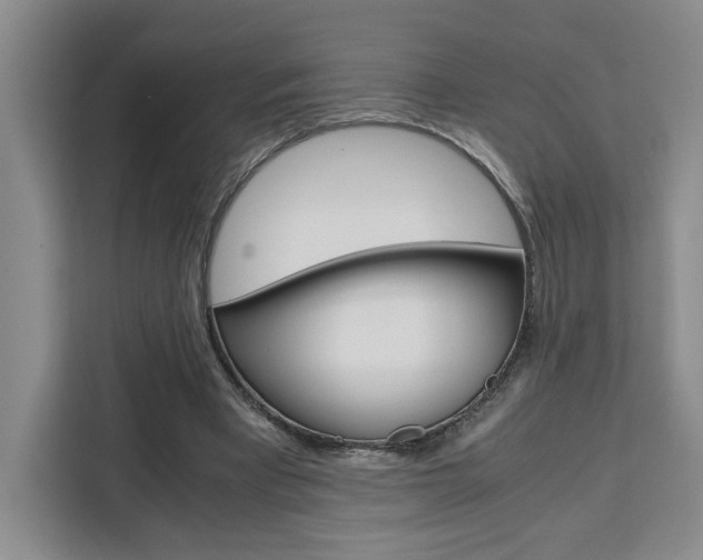 X0000111450393200907131045