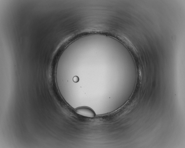 X0000111450396200907131045