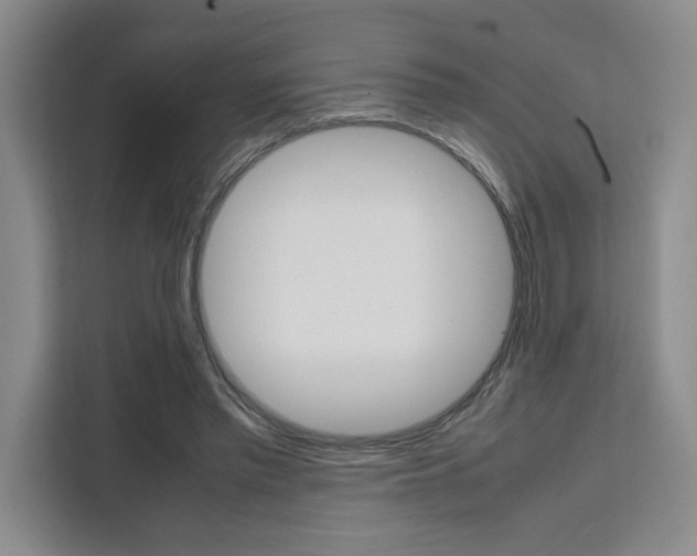 X0000111450397200907131045