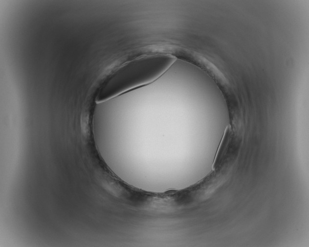 X0000111450403200907131045