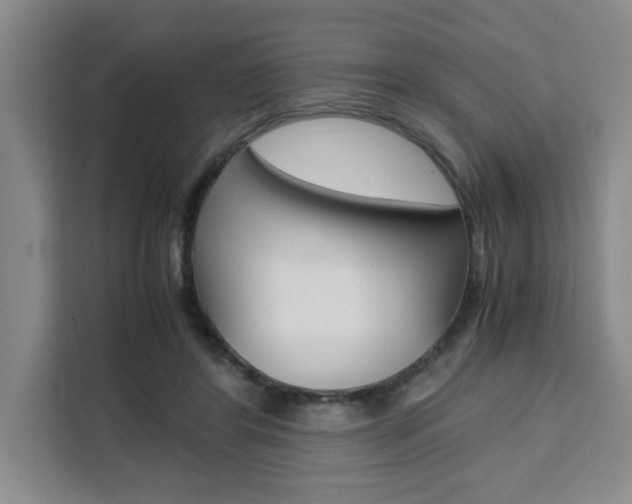 X0000111450404200907131045
