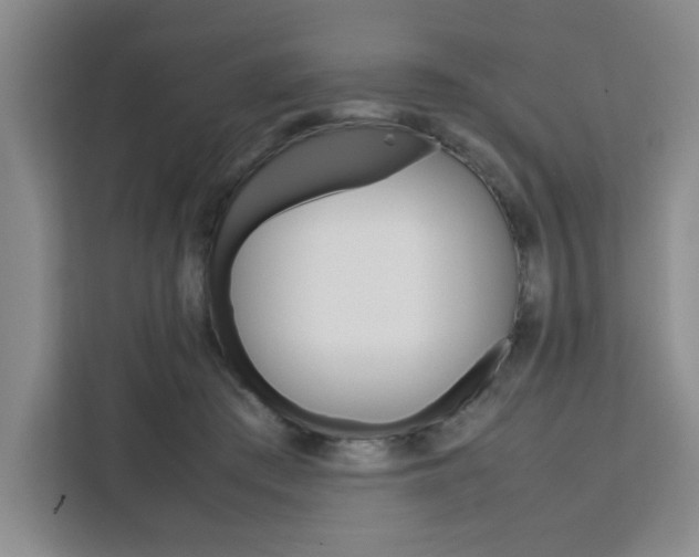 X0000111450409200907131045