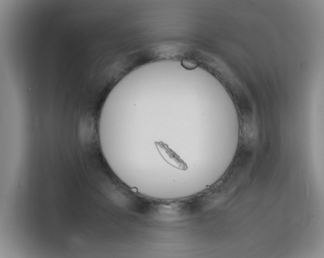 X0000111450411200907131045