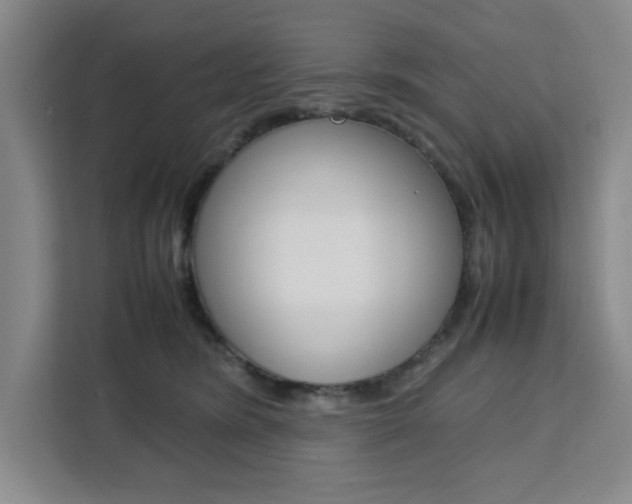 X0000111450420200907131045