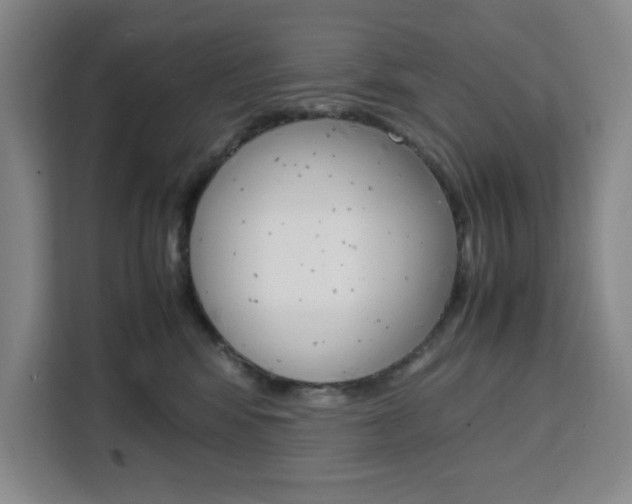 X0000111450424200907131045