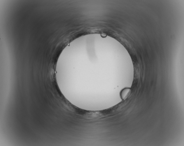 X0000111450427200907131044