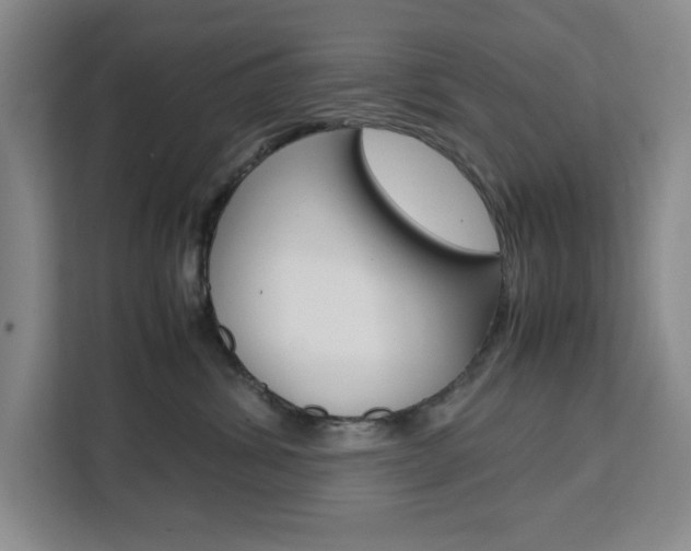 X0000111450428200907131044