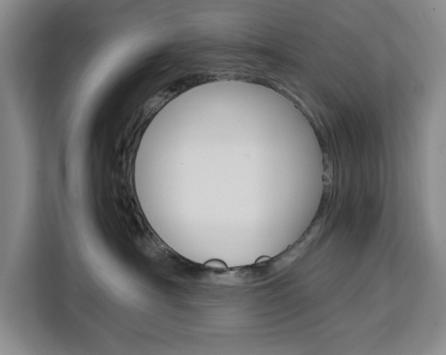 X0000111450430200907131044