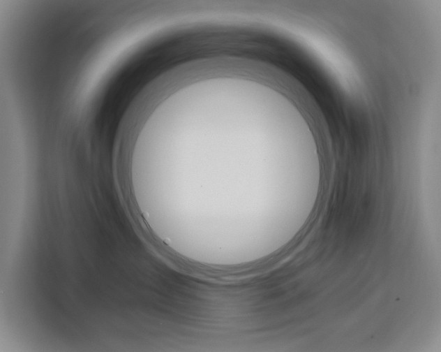 X0000111450431200907131044