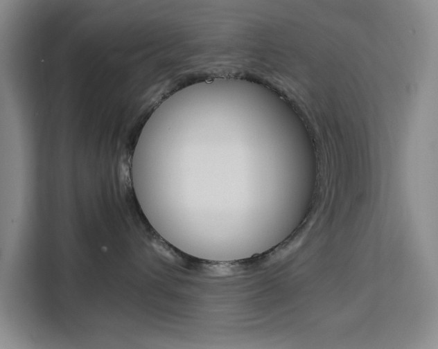 X0000111450432200907131044