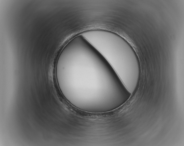 X0000111450434200907131044