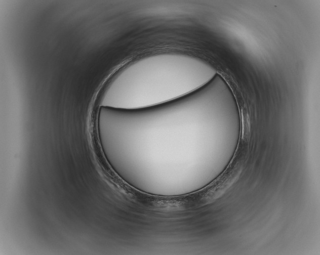 X0000111450435200907131044