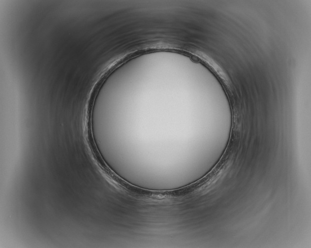 X0000111450437200907131044