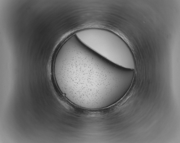 X0000111450438200907131044