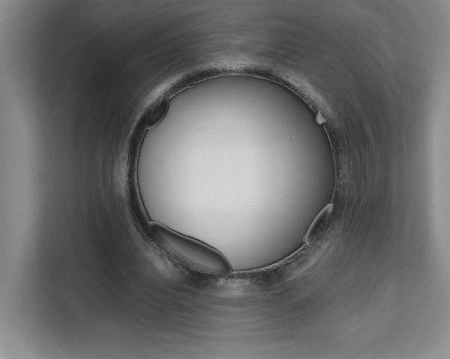 X0000111450440200907131044