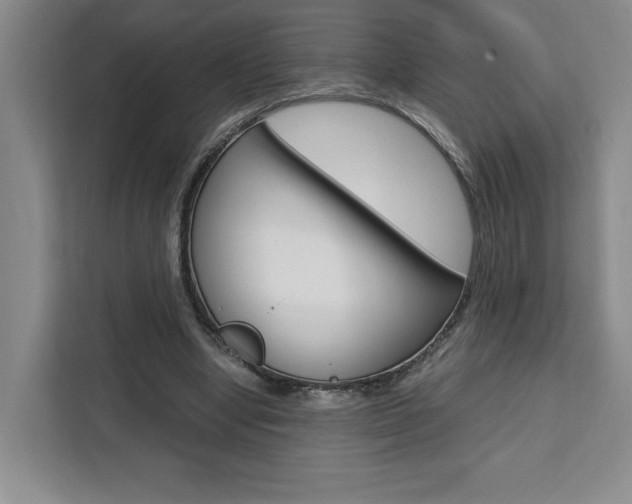 X0000111450442200907131044