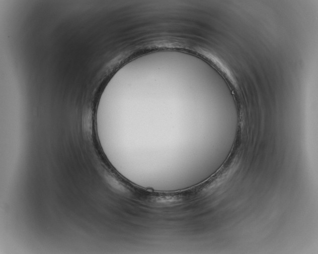 X0000111450445200907131044