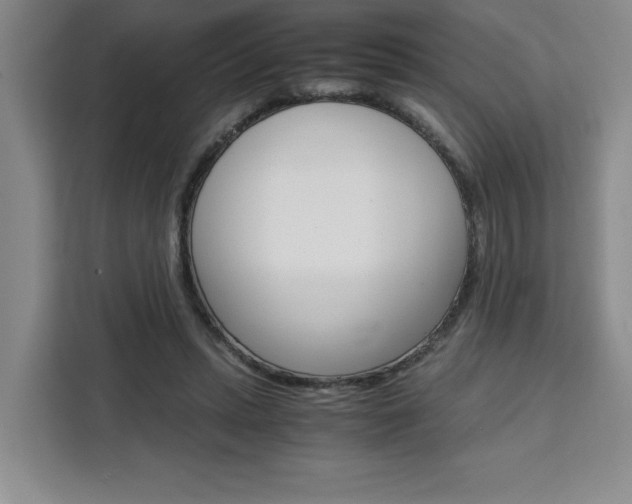X0000111450447200907131044