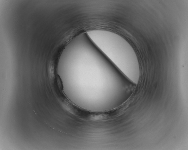 X0000111450452200907131044