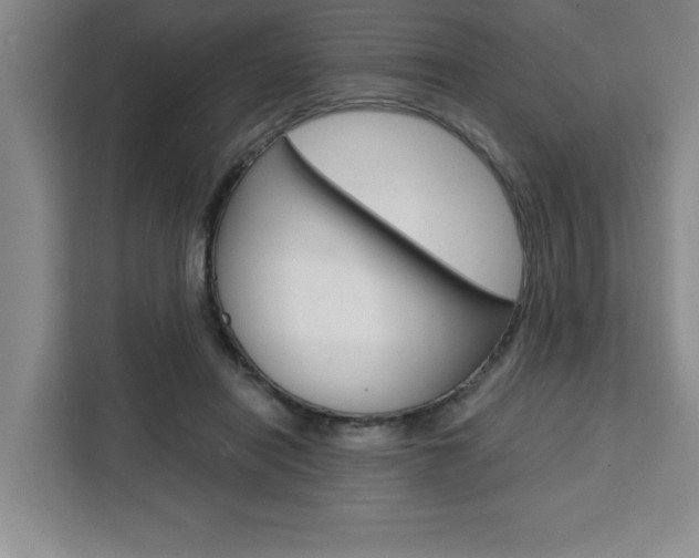 X0000111450454200907131044