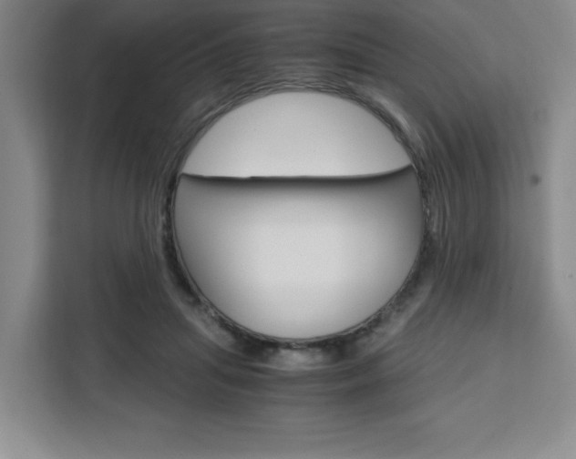 X0000111450455200907131044