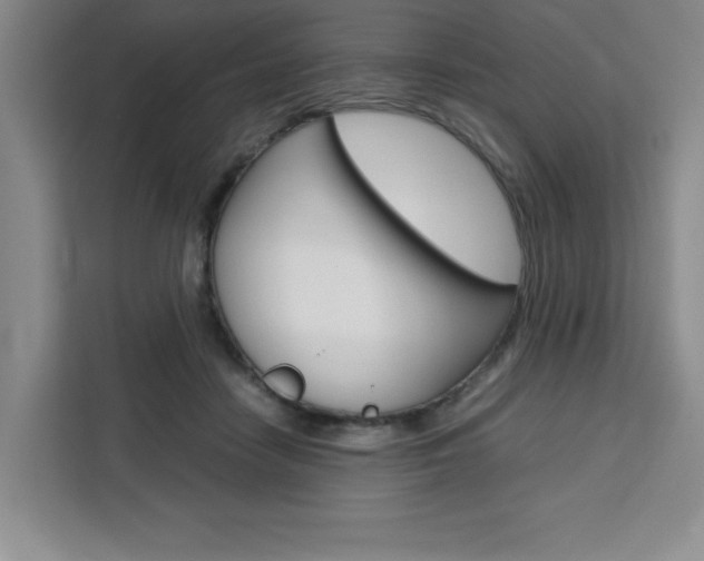 X0000111450458200907131044