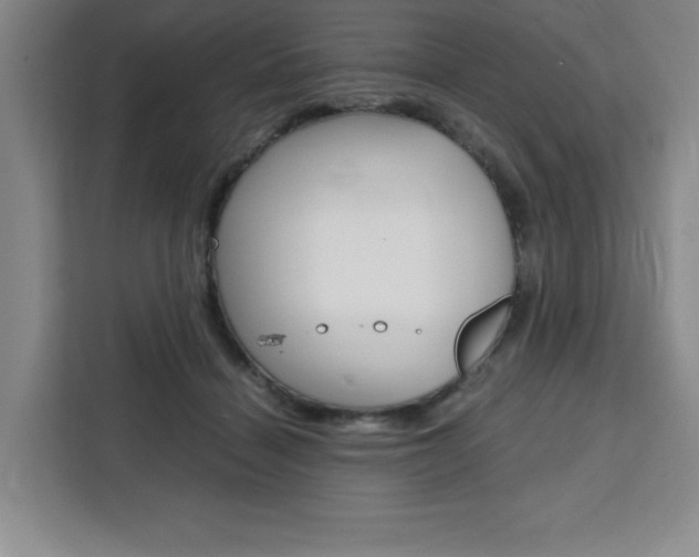 X0000111450460200907131044
