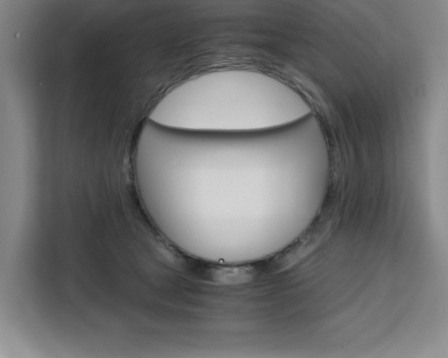 X0000111450465200907131044