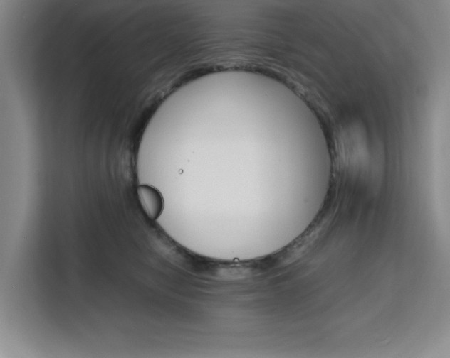 X0000111450470200907131044
