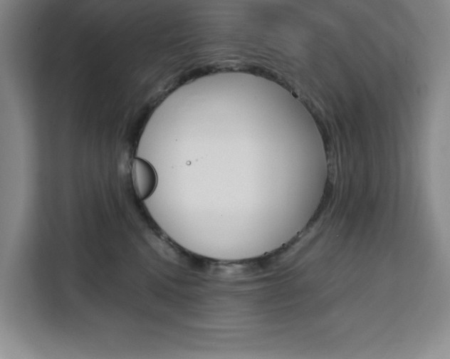 X0000111450472200907131044