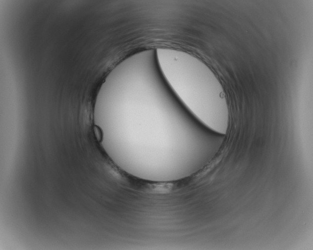 X0000111450474200907131044