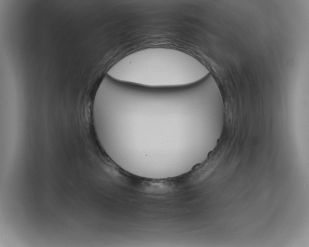 X0000111450475200907131044