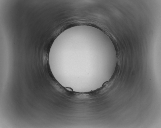 X0000111450476200907131044