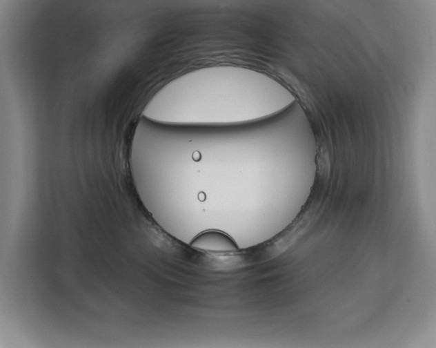 X0000111450477200907131044