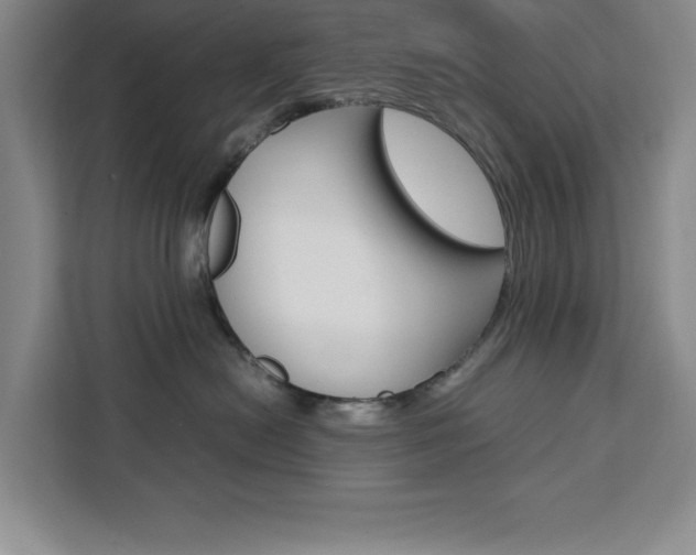 X0000111450478200907131044