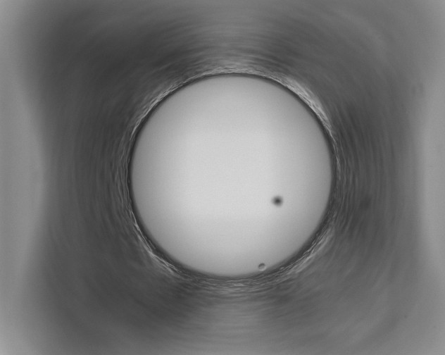 X0000111450481200907131044