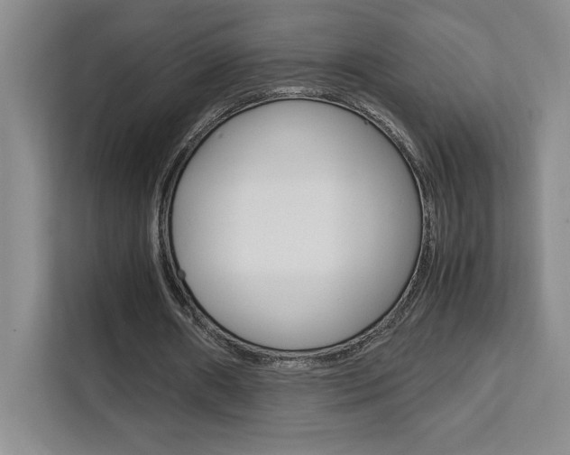 X0000111450482200907131044