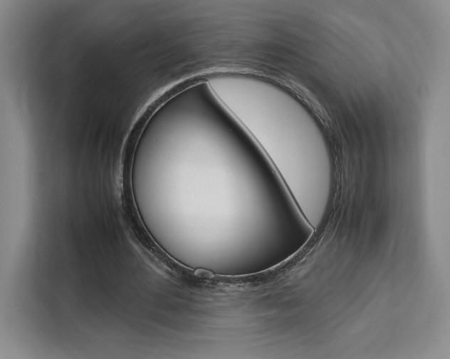 X0000111450484200907131044