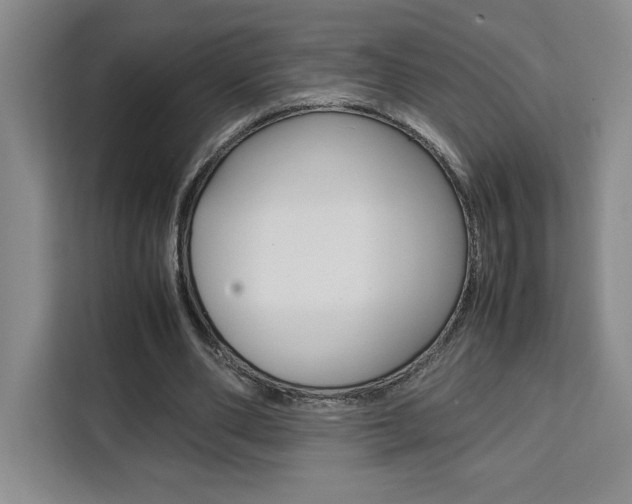 X0000111450486200907131044
