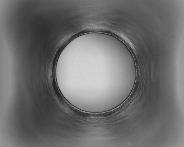 X0000111450487200907131044