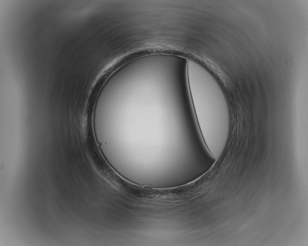 X0000111450488200907131044